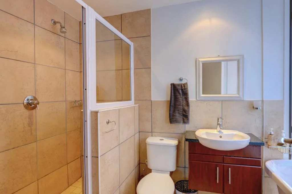Modern bathroom with walk-in shower, vanity sink, and toilet facilities