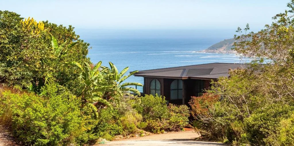 Modern dark villa nestled among coastal vegetation with ocean view beyond