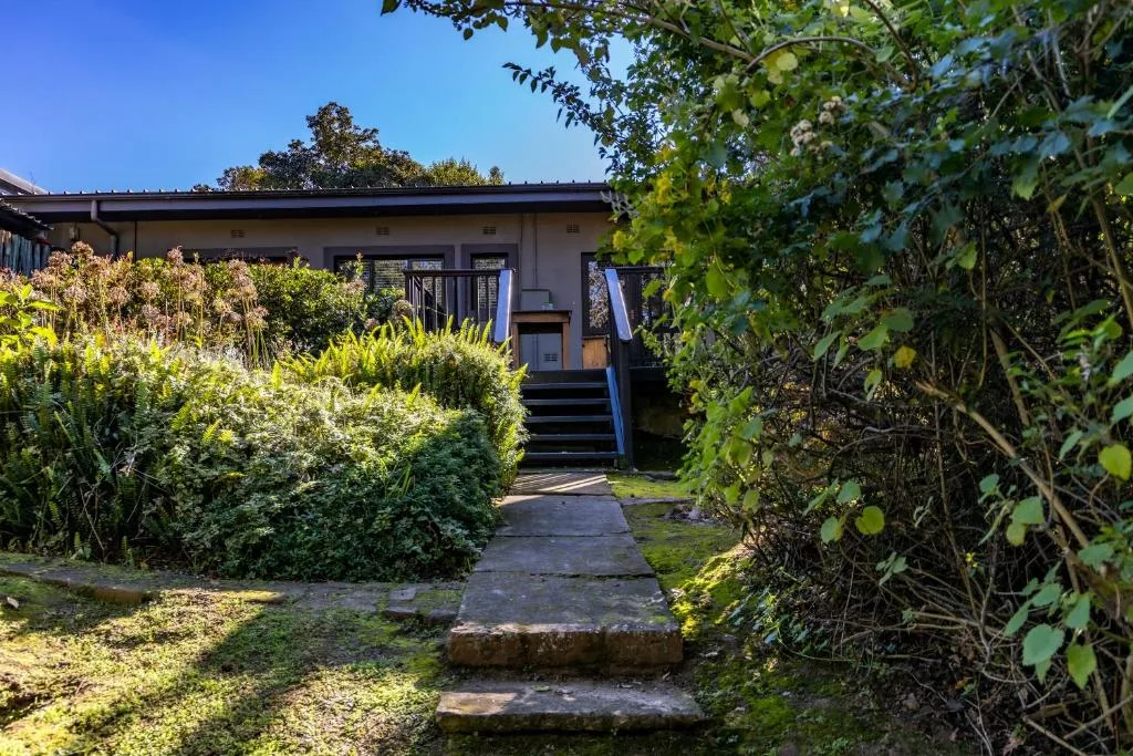Modern chalet with lush garden pathway and blue entrance stairs