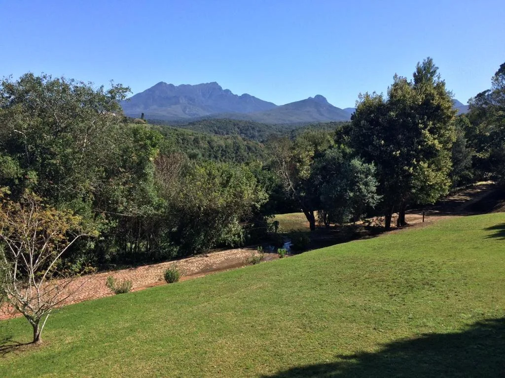 Majestic mountain peaks rising beyond lush green lawn and native forest