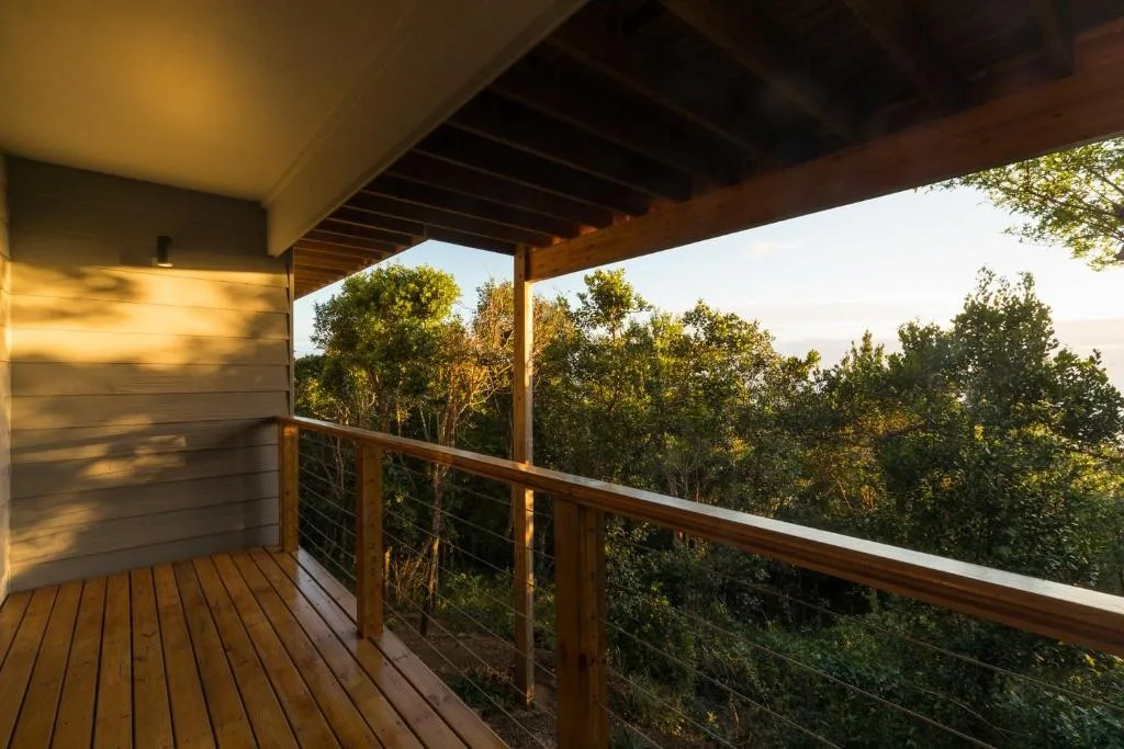 Wooden deck with metal railing overlooking lush green forest landscape