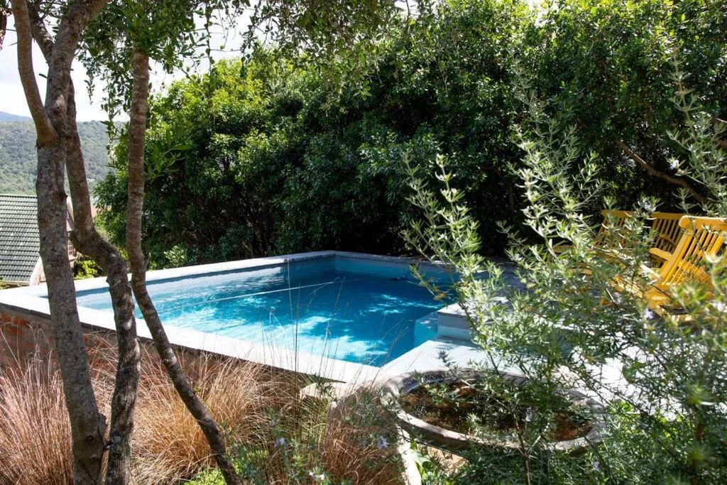Blue rectangular swimming pool nestled among lush green landscaping and trees