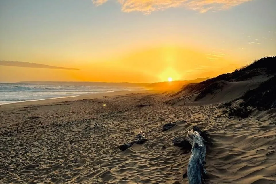 Golden sunset over pristine beach with sand dunes and ocean waves