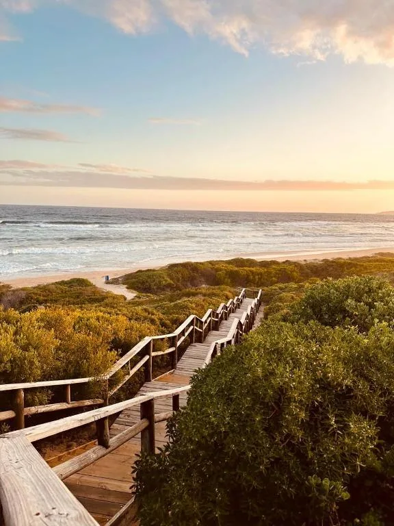 Wooden boardwalk descending through coastal vegetation toward golden sunset beach