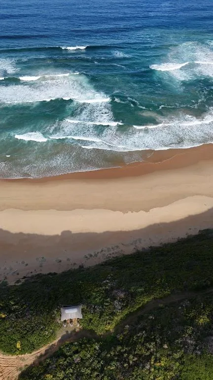 Dramatic ocean waves and sandy beach stretching along the Garden Route coastline