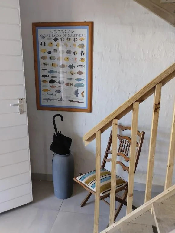 Framed marine fauna chart and umbrella stand near wooden staircase