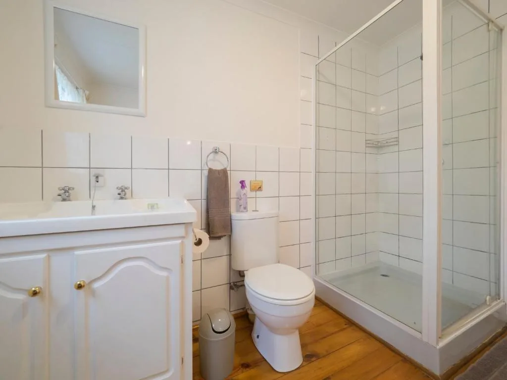 Bright bathroom with white vanity, toilet, and enclosed glass shower enclosure