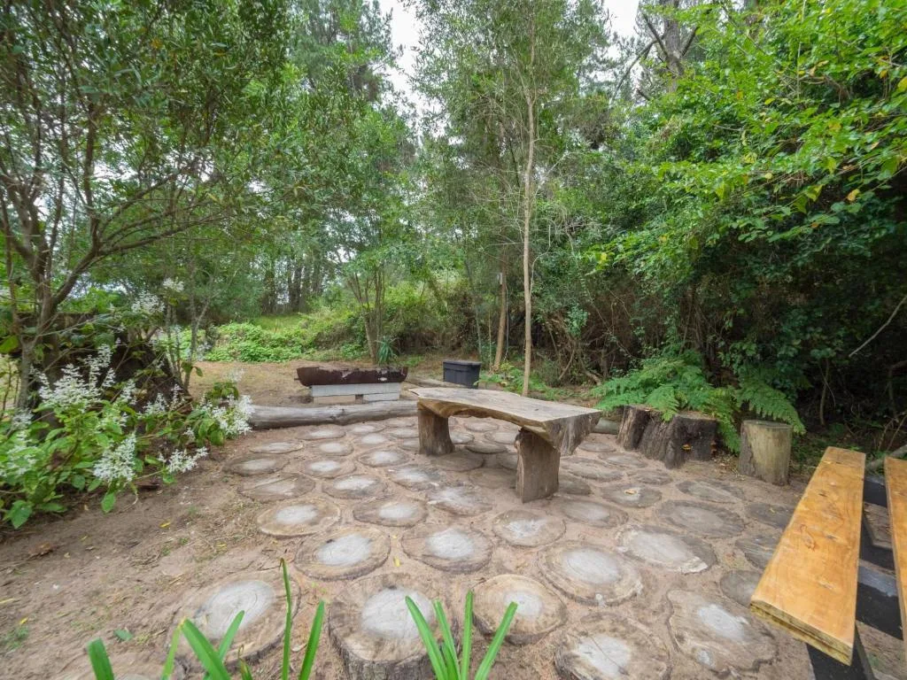 Wooden log seating area surrounded by mature trees and native vegetation