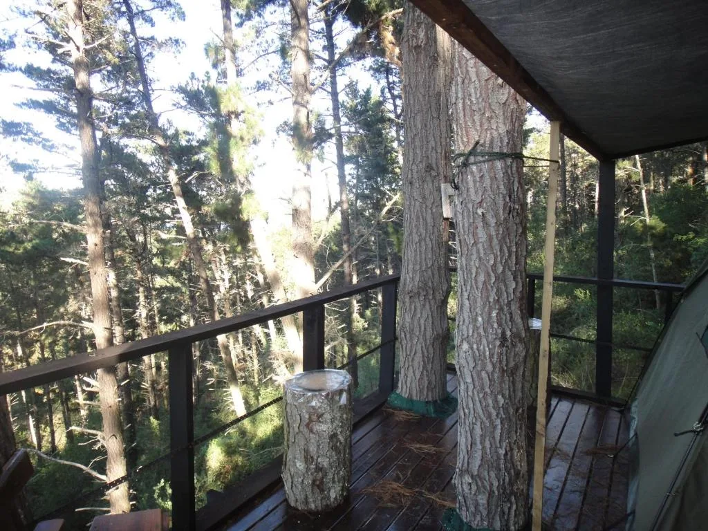 Forest deck with black railing overlooking tall trees and natural woodland surroundings