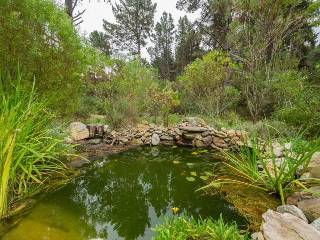 Natural pond with stone bridge surrounded by lush garden vegetation and trees