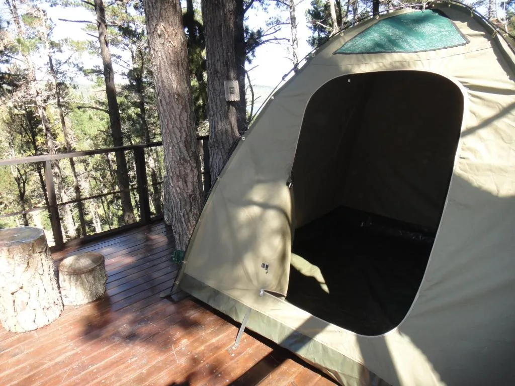 Glamping tent with turquoise roof on wooden deck among forest trees