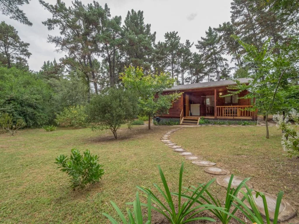 Wooden cabin with deck nestled among pine trees and manicured garden