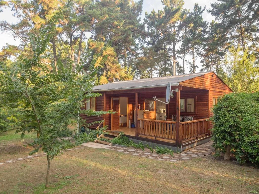 Wooden cottage with covered deck nestled among tall pine trees in forest setting