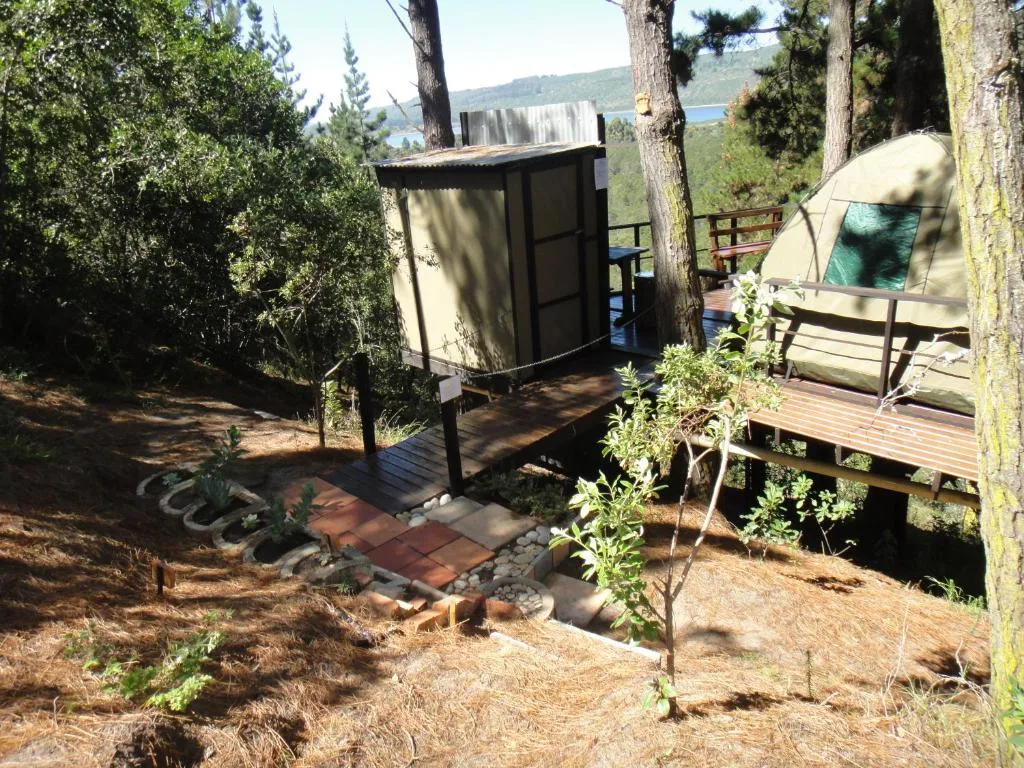 Garden Route cottage nestled among tall trees with wooden deck and lakeside view