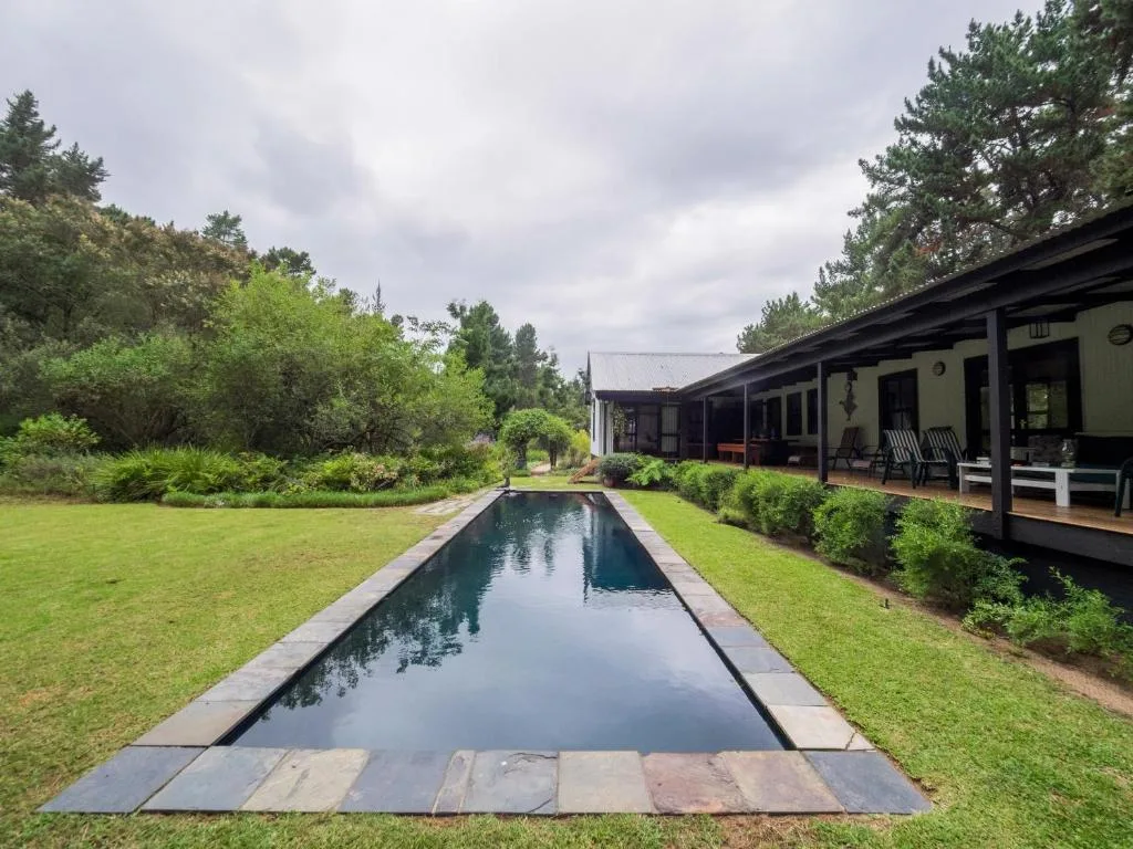 Long lap pool surrounded by manicured lawn and lush vegetation, flanking a modern house