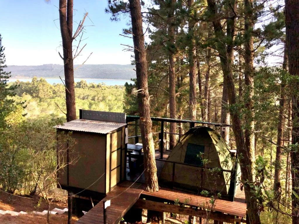 Scenic lagoon and forested hillside vista from elevated wooden deck
