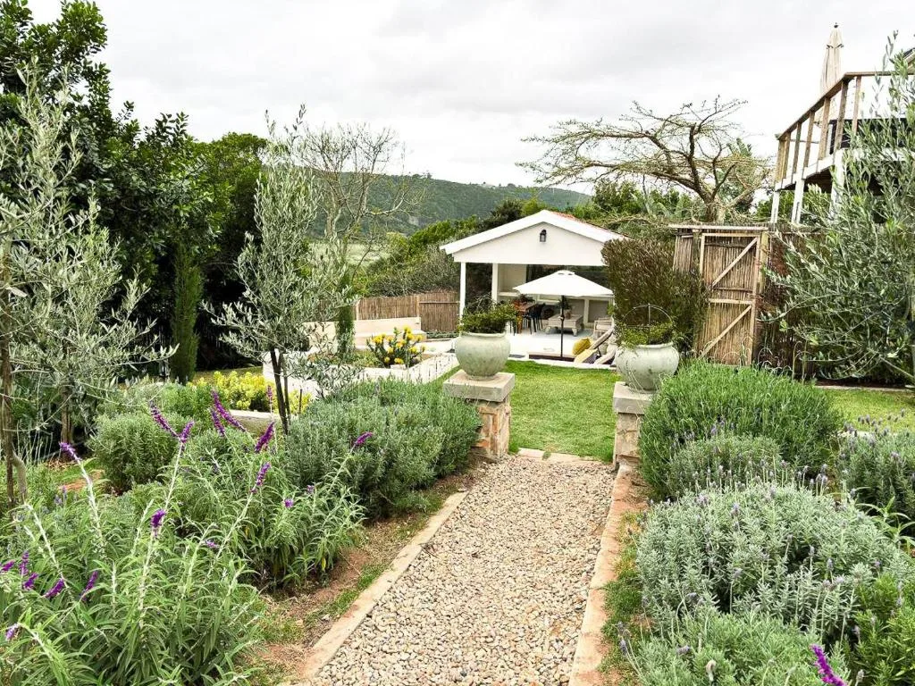 Manicured garden pathway with olive trees, purple flowers, and mountain views beyond