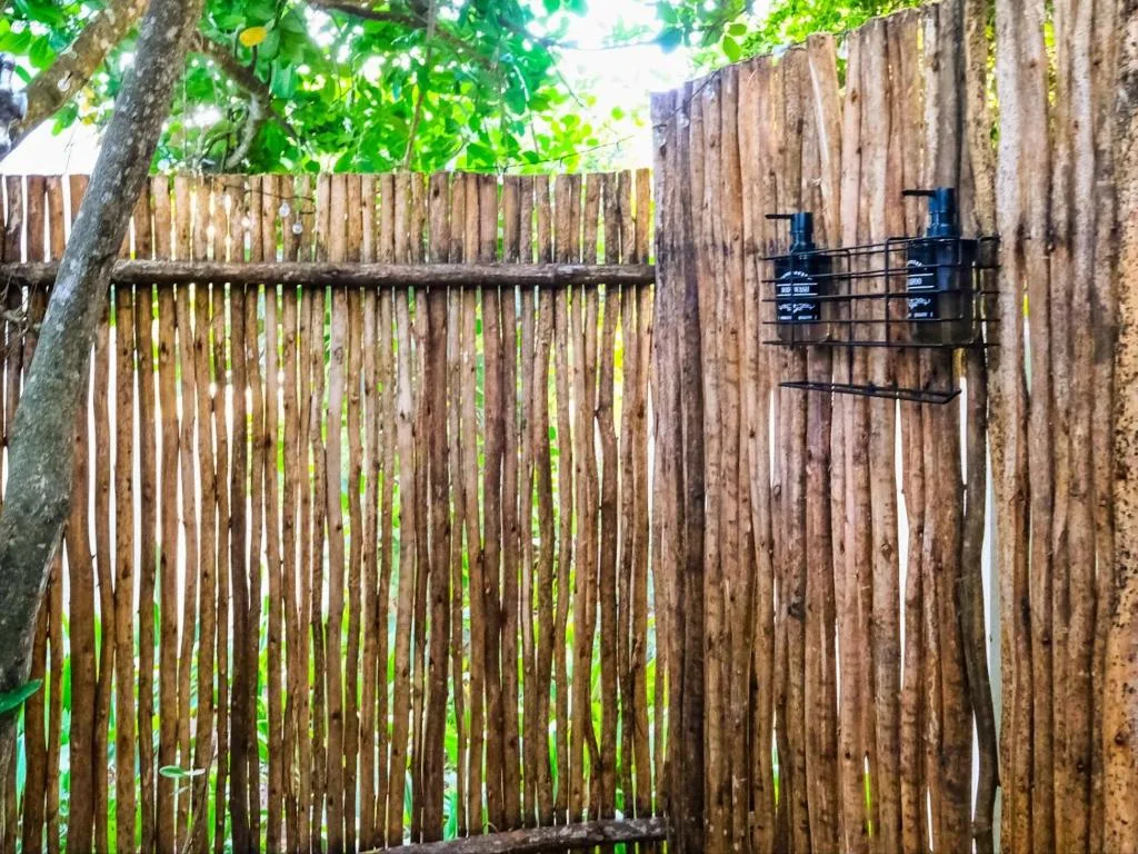 Rustic wooden fence gate with climbing vines and lush green tree overhead