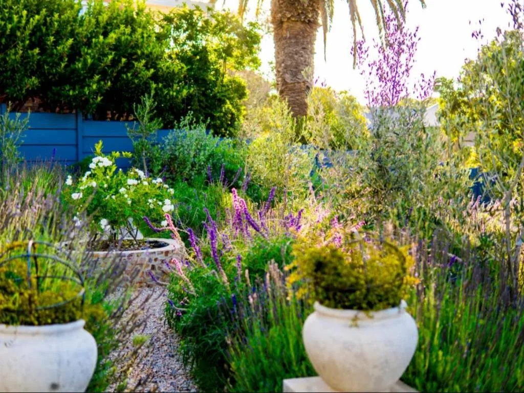 Lush garden pathway with purple flowering plants and potted shrubs