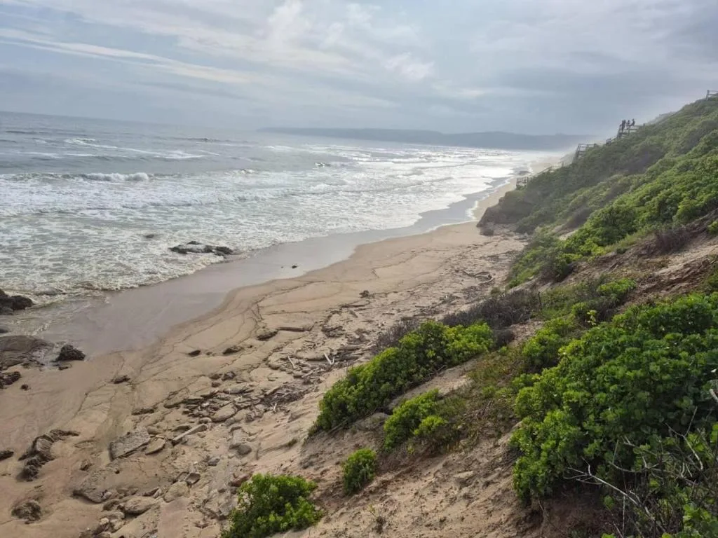 Scenic coastal beach with ocean waves and green cliffs overlooking sand