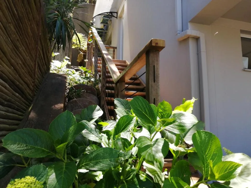 Wooden staircase alongside white building with lush green plants