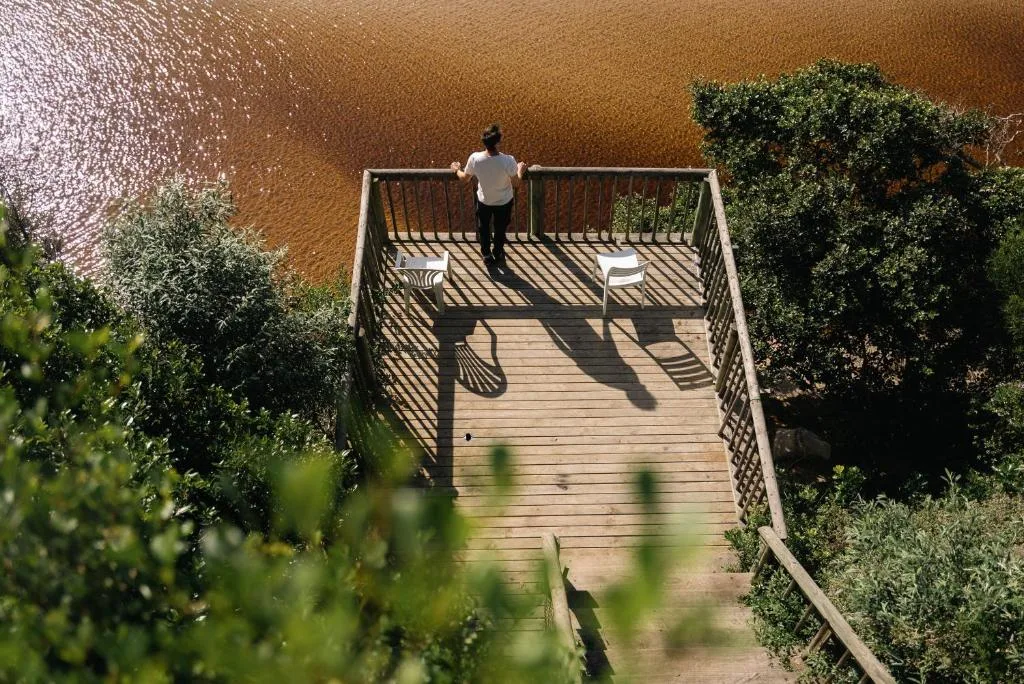 Wooden deck overlooking brown lagoon water with railing and vegetation