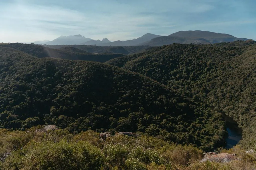 Lush forested valleys and distant mountains under cloudy sky