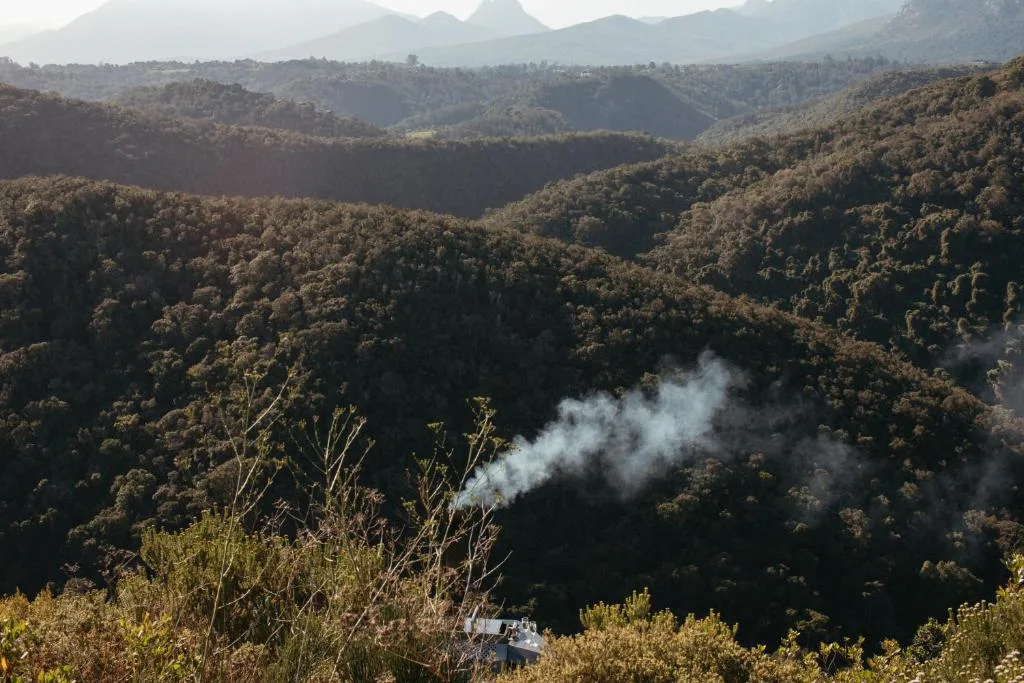 Sweeping mountain valley landscape with dense forest and distant peaks