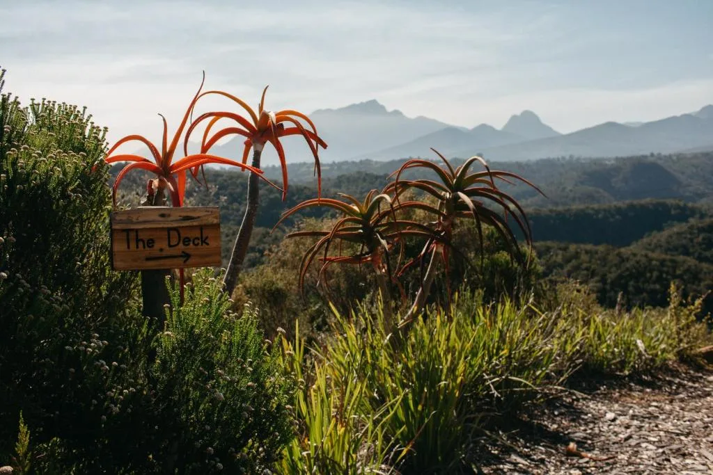 Mountain landscape vista with exotic plants and decorative signage visible