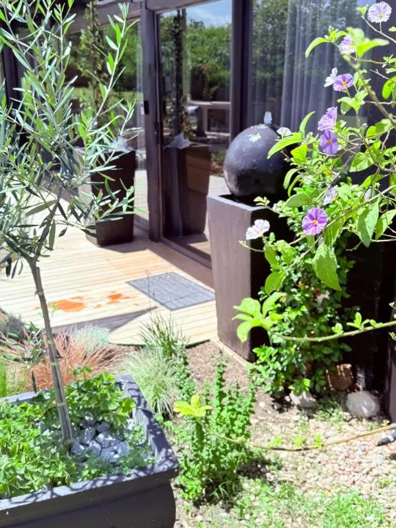 Landscaped patio with flowering plants, olive trees, and decorative water features