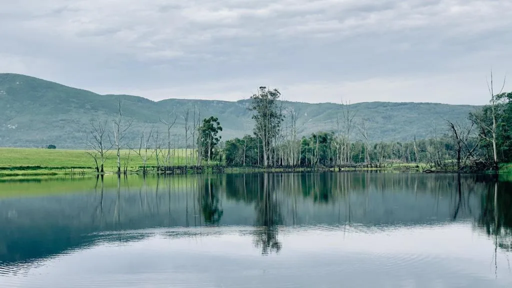 Serene lagoon with green mountains and trees reflected in still water