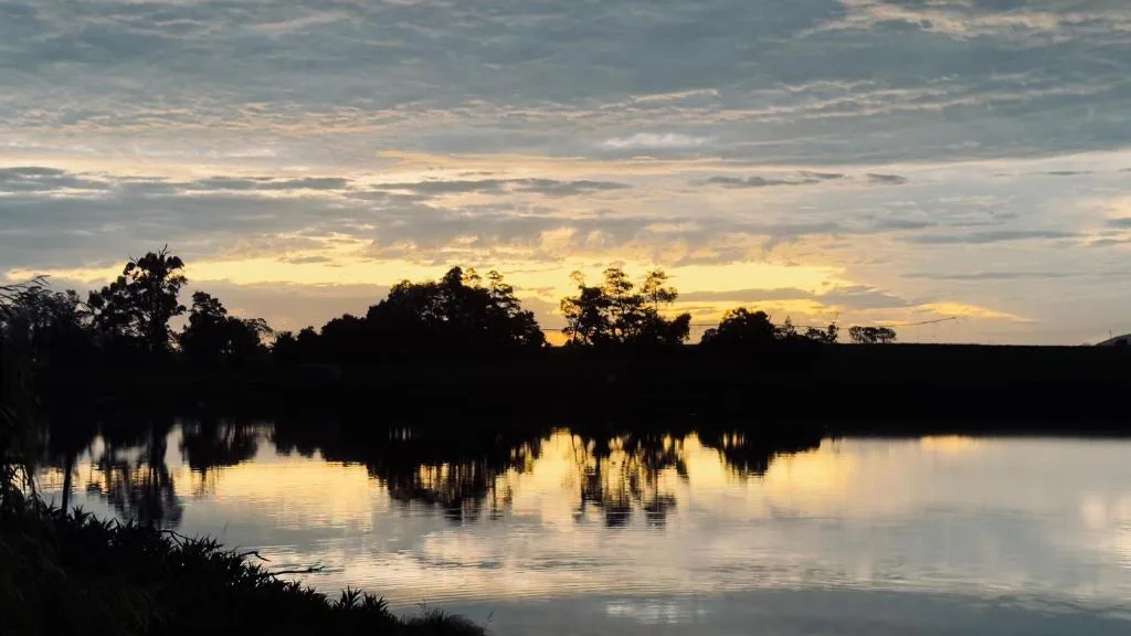 Serene sunset reflection over calm lagoon with silhouetted trees