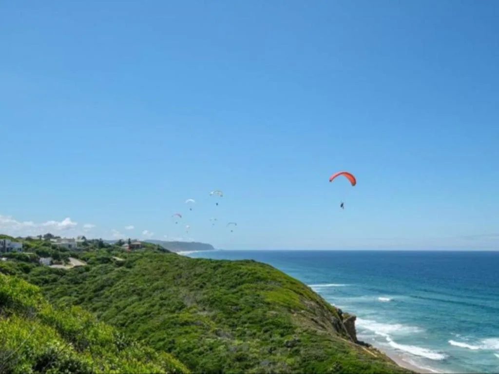 Paragliders soaring above dramatic coastline with ocean and green hillside landscape