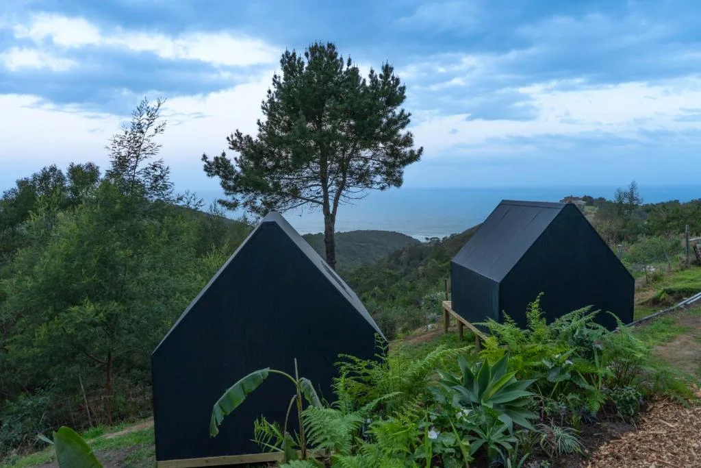 Two modern black A-frame cabins nestled in lush hillside garden with ocean view