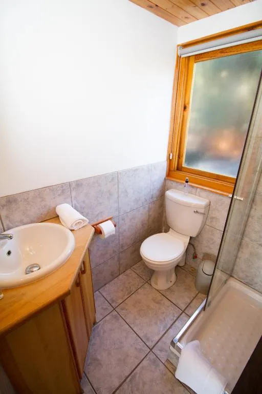 Compact bathroom with wooden vanity sink, toilet, and shower enclosure