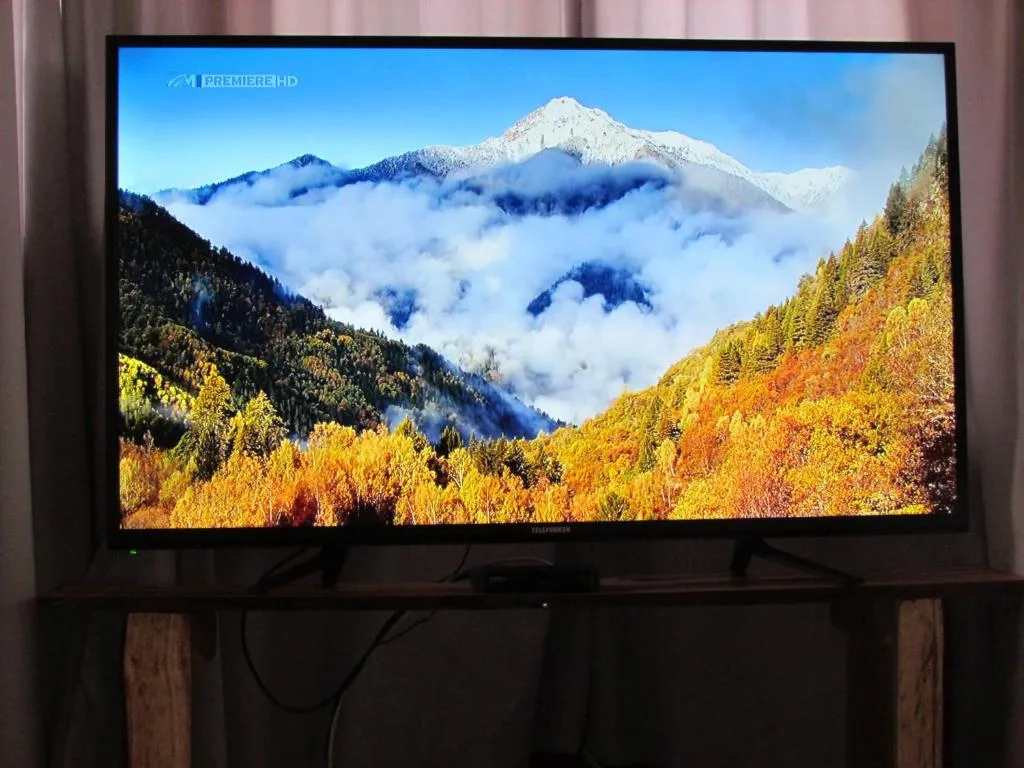 Television displaying scenic snowy mountain landscape with autumn forests