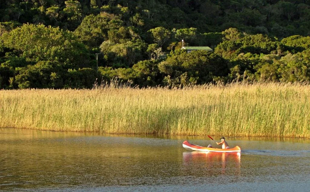 Scenic waterway with person in kayak, reeds, and tree-lined banks