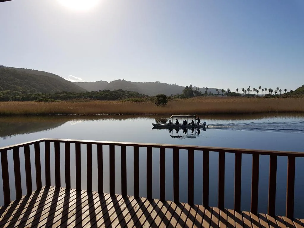 Serene lagoon view with mountains, reeds, and distant palm trees from deck