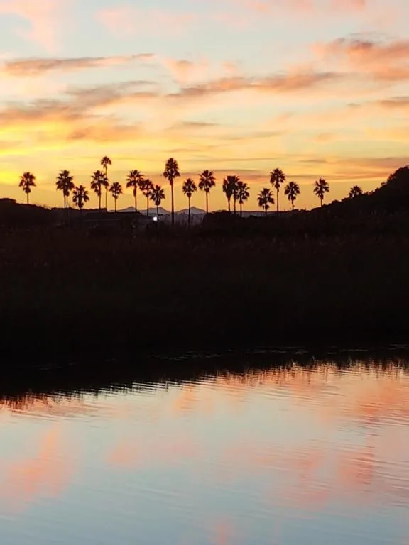 Sunset over lagoon with palm trees silhouetted against golden sky