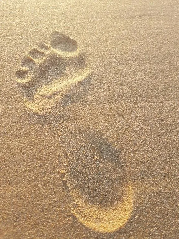 Footprints in wet sand on Garden Route beach shore