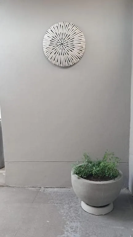 Modern wall-mounted decorative clock above potted plant installation