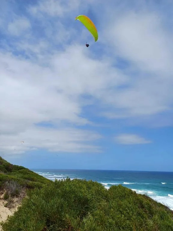 Paraglider soaring above cliffs with ocean and beach below
