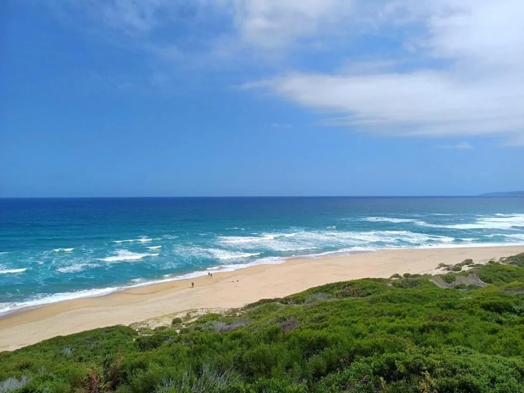 Pristine sandy beach with turquoise ocean waves and green coastal vegetation