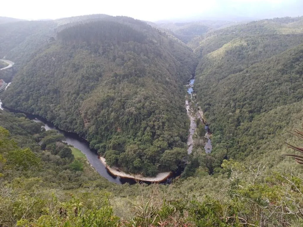 Aerial view of river winding through lush forested mountains and valleys