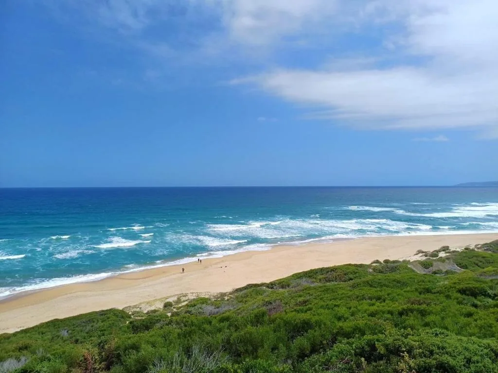 Pristine sandy beach with turquoise ocean waves and coastal vegetation