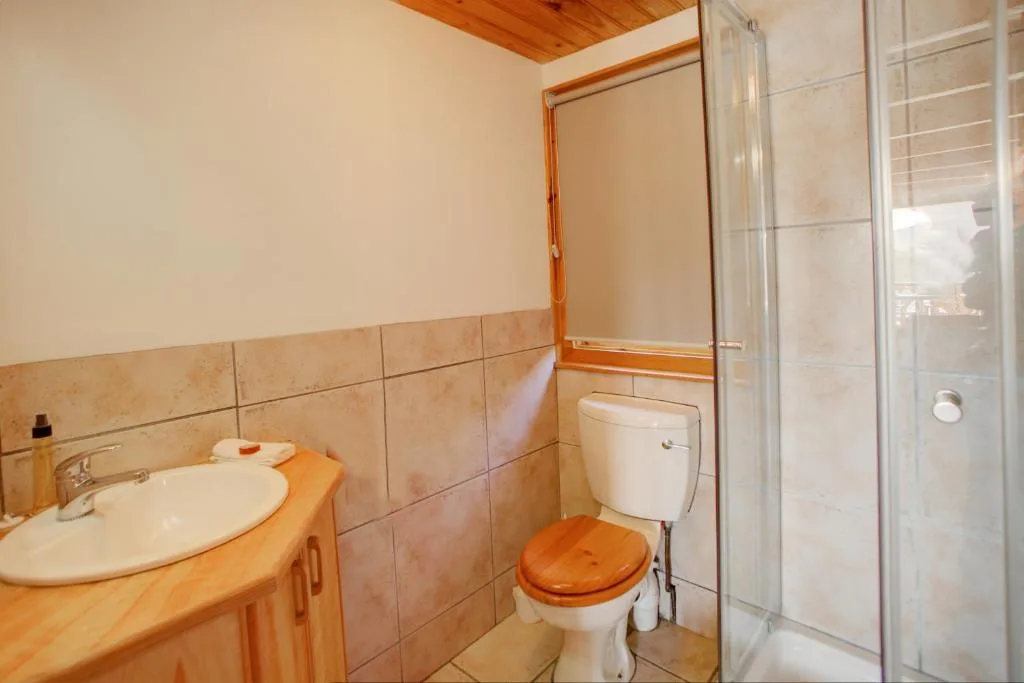 Bathroom with wooden vanity, sink, toilet, and glass shower enclosure