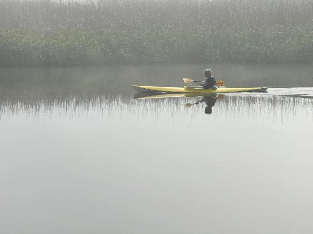 Kayaker on misty lagoon with forested shoreline reflected in still water