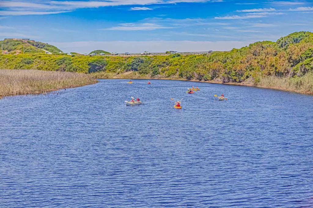 Scenic lagoon with kayakers, reed beds, and lush green hillsides under blue sky