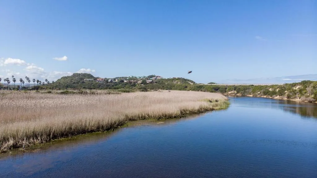 Scenic lagoon view with reed beds, river, and hillside homes under blue sky