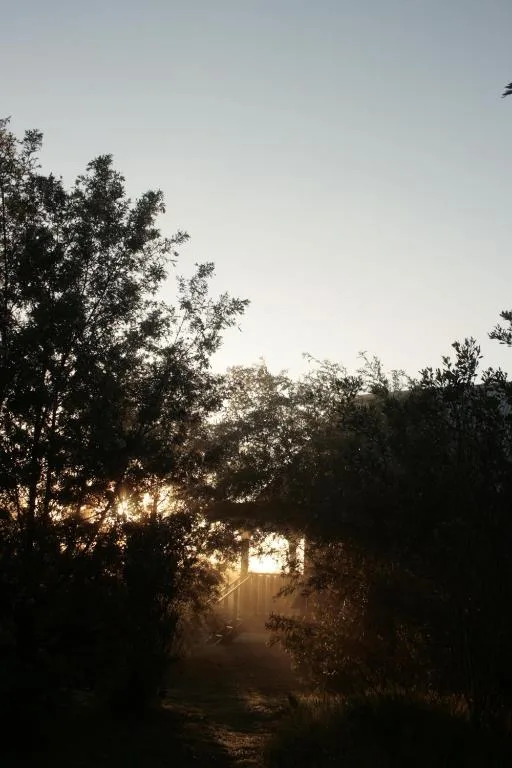 Tree-lined pathway to property entrance at golden hour sunset